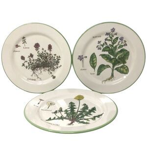 Williams Sonoma Culinary Herbs Luncheon Plates 8.75" Salad Portugal Set of 3